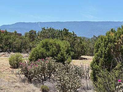 29 Via Entrada, Sandia Park 