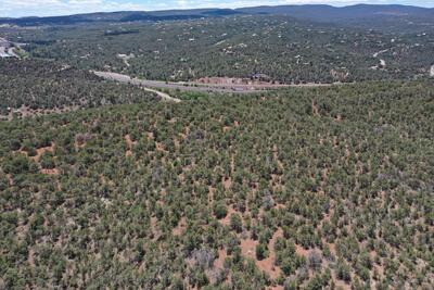 Five Acres Tijeras, Tijeras 