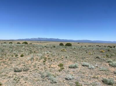 320 Ac. Hwy 60, Mountainair 