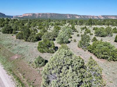 Lot 15 Buttonwood Drive, Ramah 