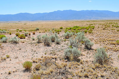 Lot 206 Rancho Rio Grande 16e, Los Lunas 