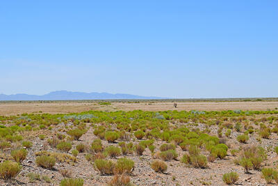 Lot 105 Rancho Rio Grande 16e, Los Lunas 