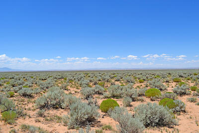 Lot 89 Rancho Rio Grande 9e, Los Lunas 