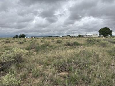 Lot 43 Valle Verde, McIntosh 