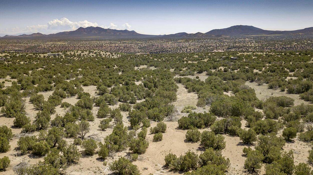 24 Camino Real - Main Image