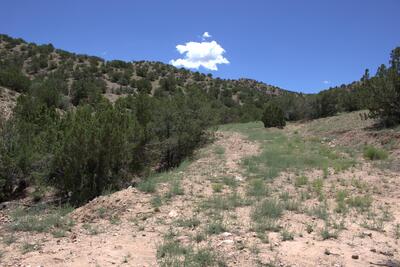 Tres Amigos, Placitas 