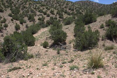 Tres Amigos Road, Placitas 