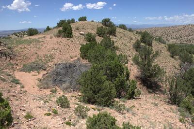 Tres Amigos, Placitas 