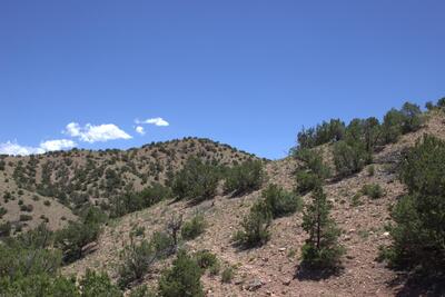 Tres Amigos, Placitas 