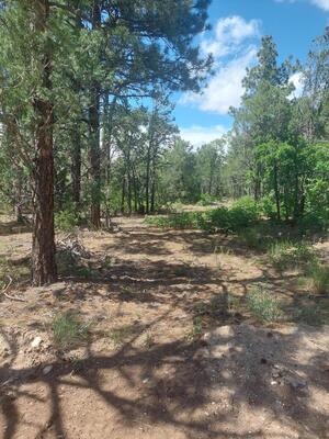 16 Secret Pines Court, Tijeras 