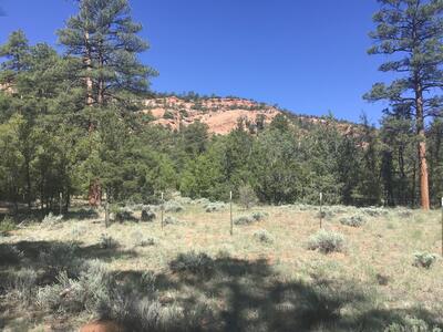 Lot 33 Aspen Loop, Ramah 