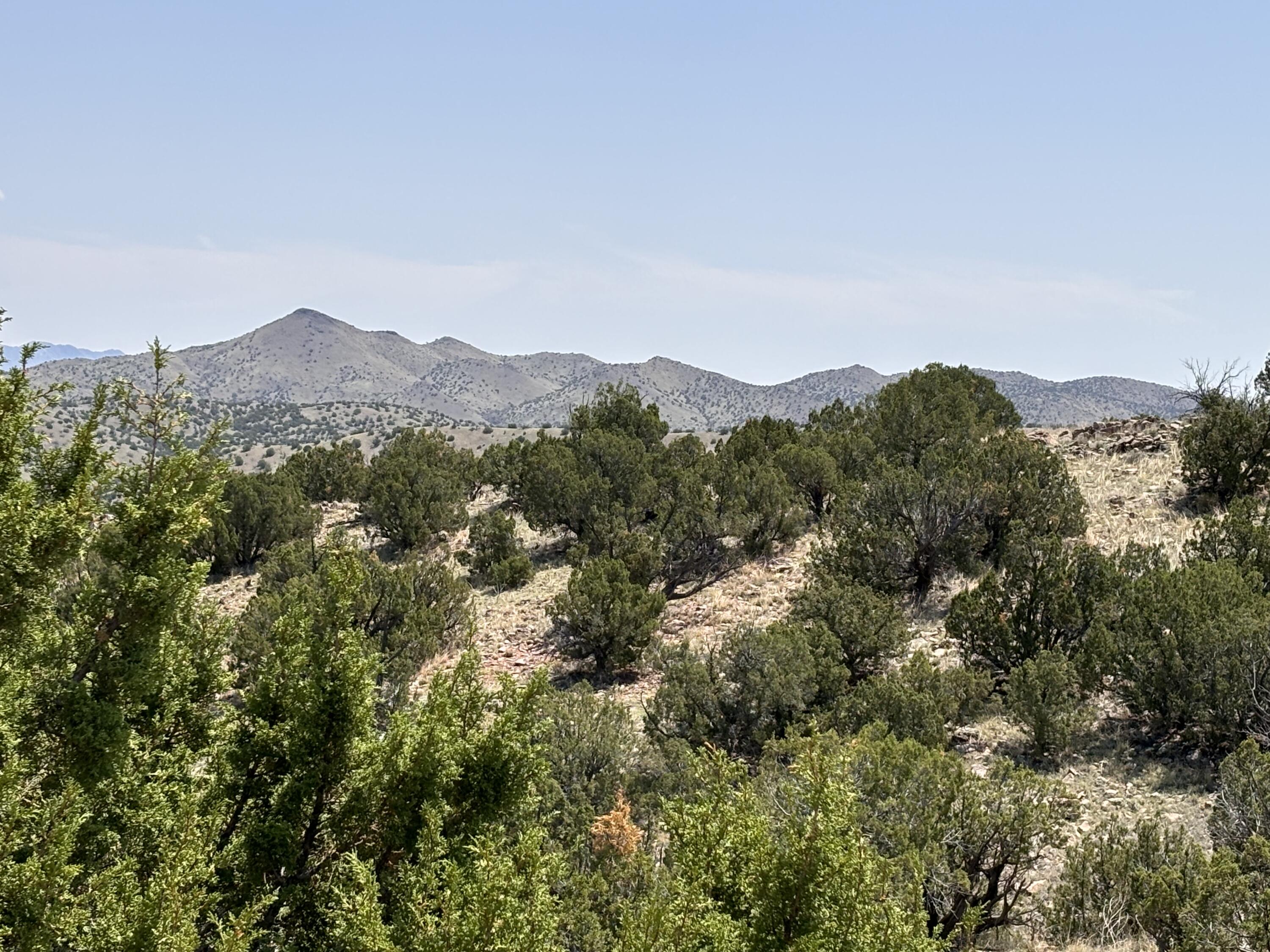 Lot 13 Abbe Springs Ranches - Main Image