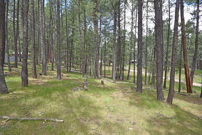 Lots 2 & 3 Hidden Valley Road, Jemez Springs 