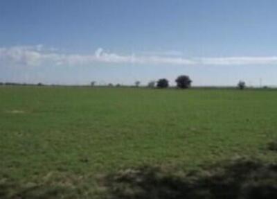 1560 Nm-41, Estancia 