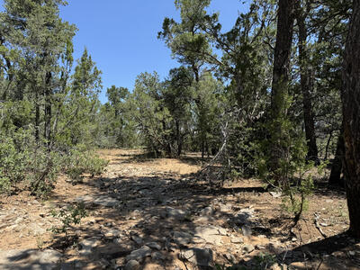 17 Camino Largo Road, Tijeras 