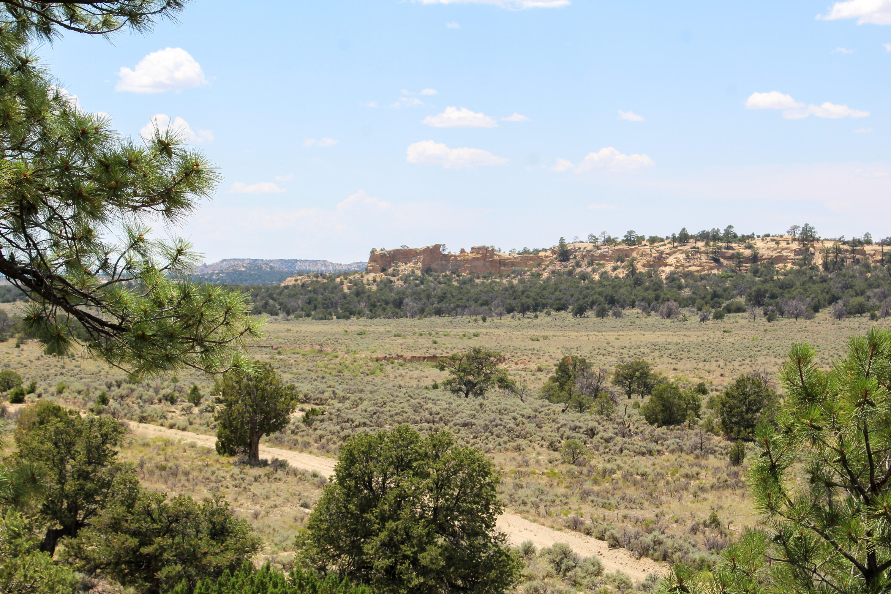 San Isidro Mesa Ranch - Main Image