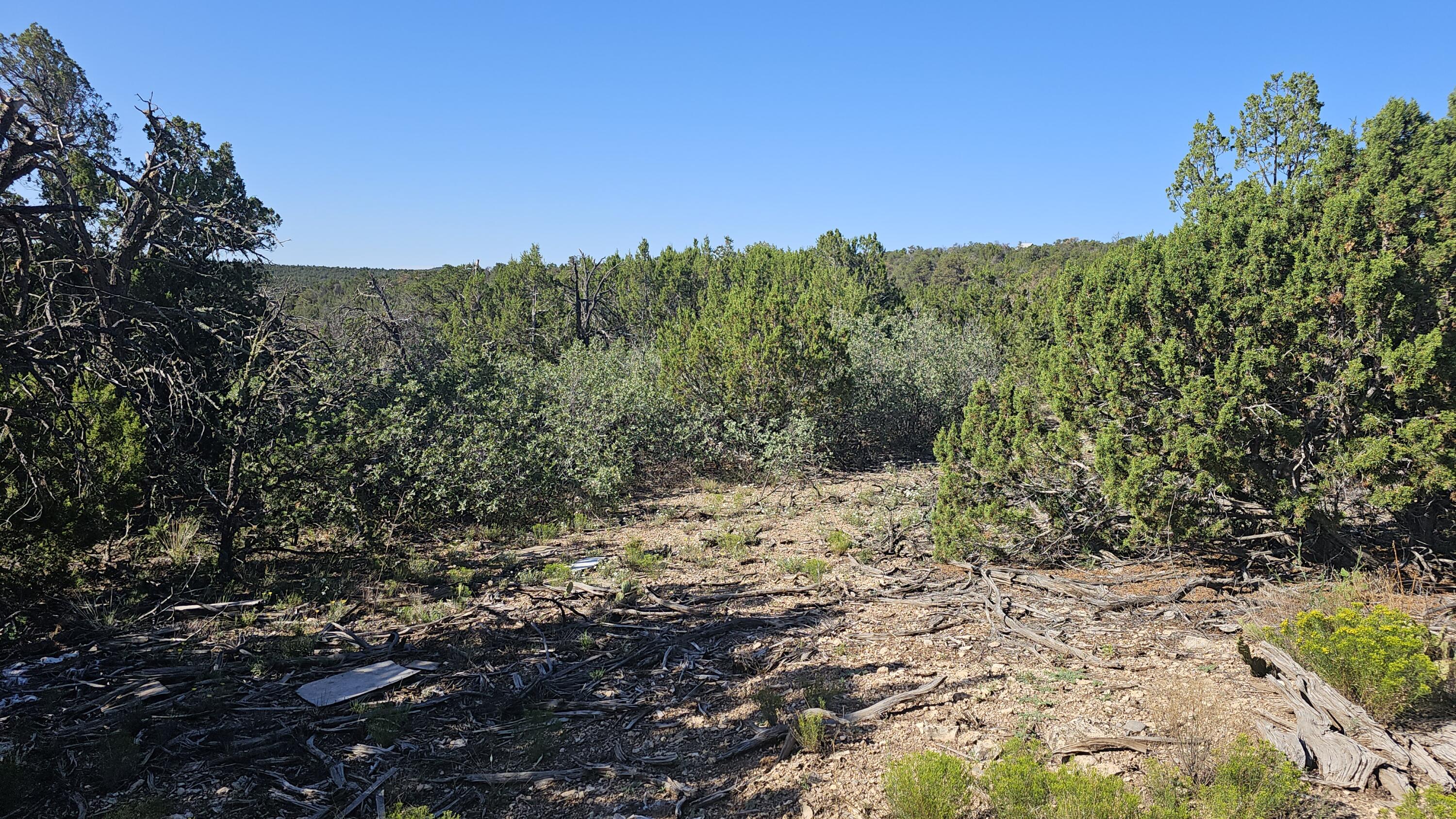 Cross Road - Main Image