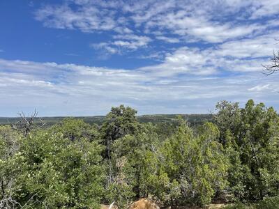 Lot 48 Ridge Road, Ramah 