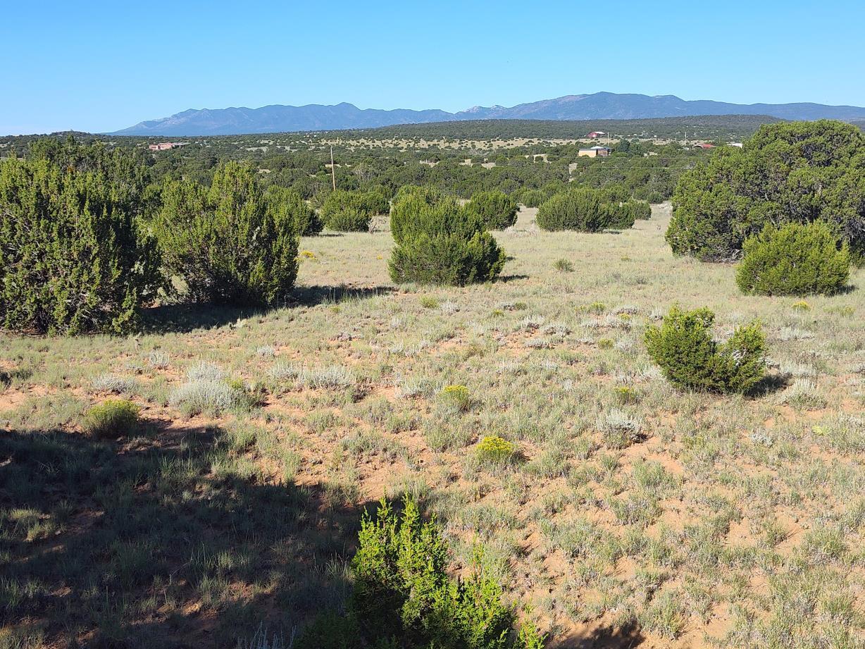 State Highway 55 - Main Image