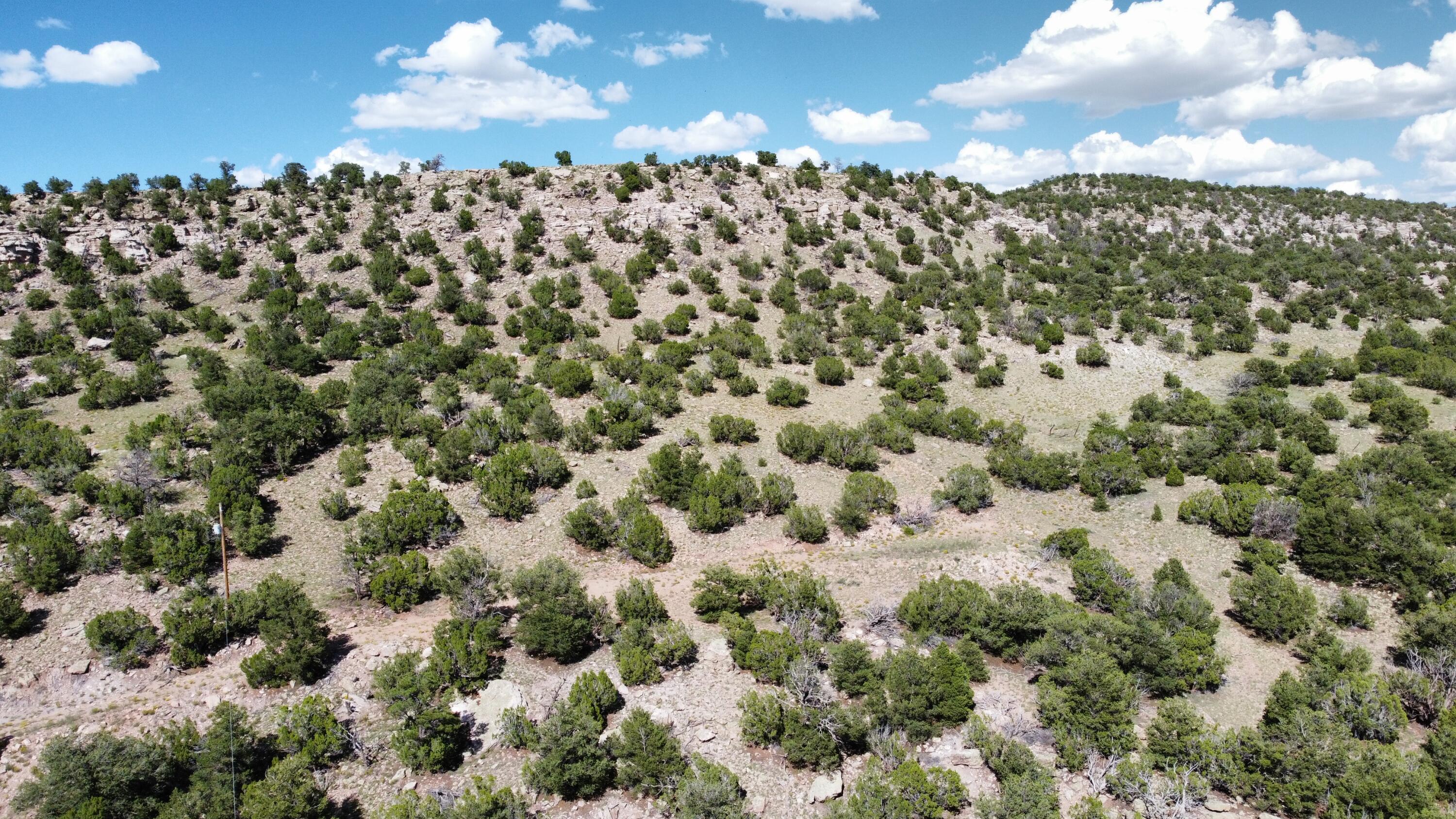 Lot 33 Seewald Estates - Main Image
