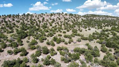 Lot 33 Seewald Estates, Thoreau 