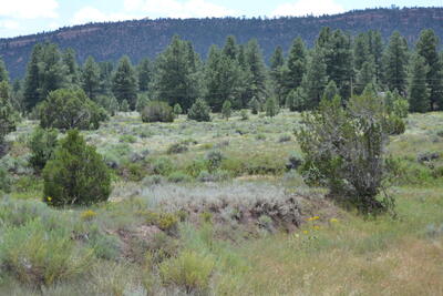 Timberlake Ranch, Ramah 