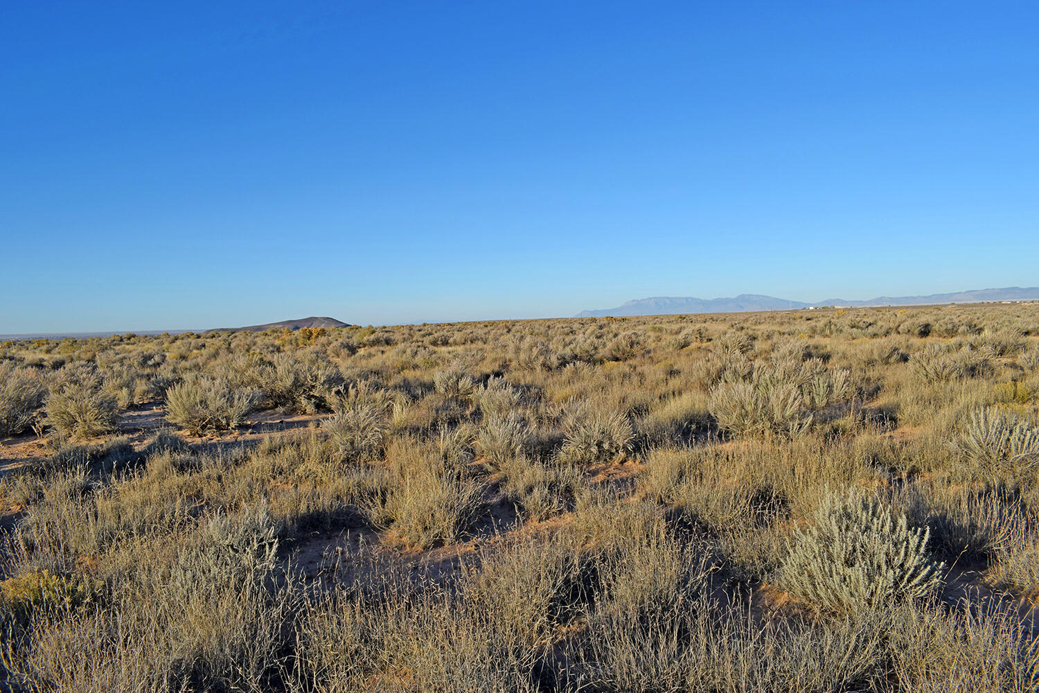 Lot 4 Rio Del Oro 61 - Main Image