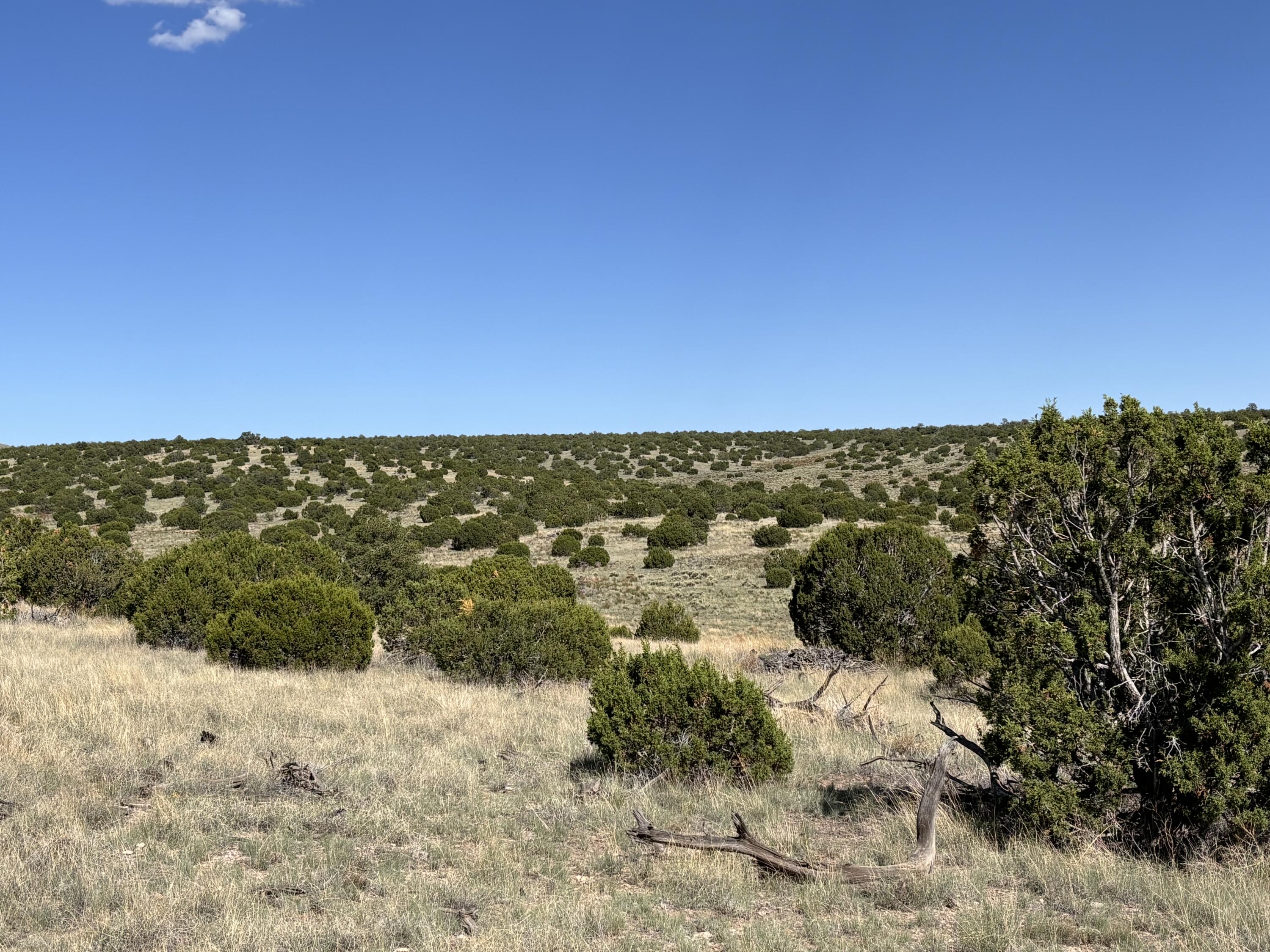 Lot 43 Pinon Springs Ranches - Main Image