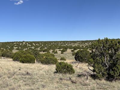 Lot 43 Pinon Springs Ranches, Magdalena 