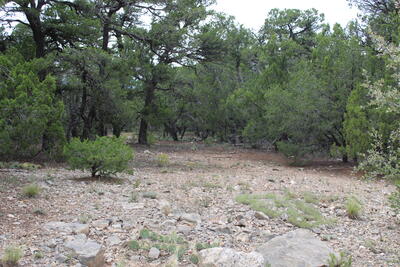 3 Manzano Loop, Tijeras 