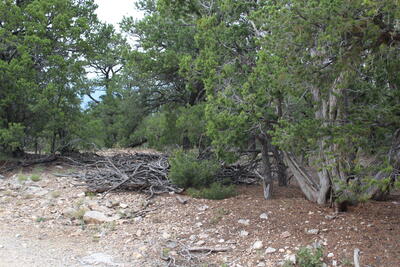 7 Manzano Loop, Tijeras 