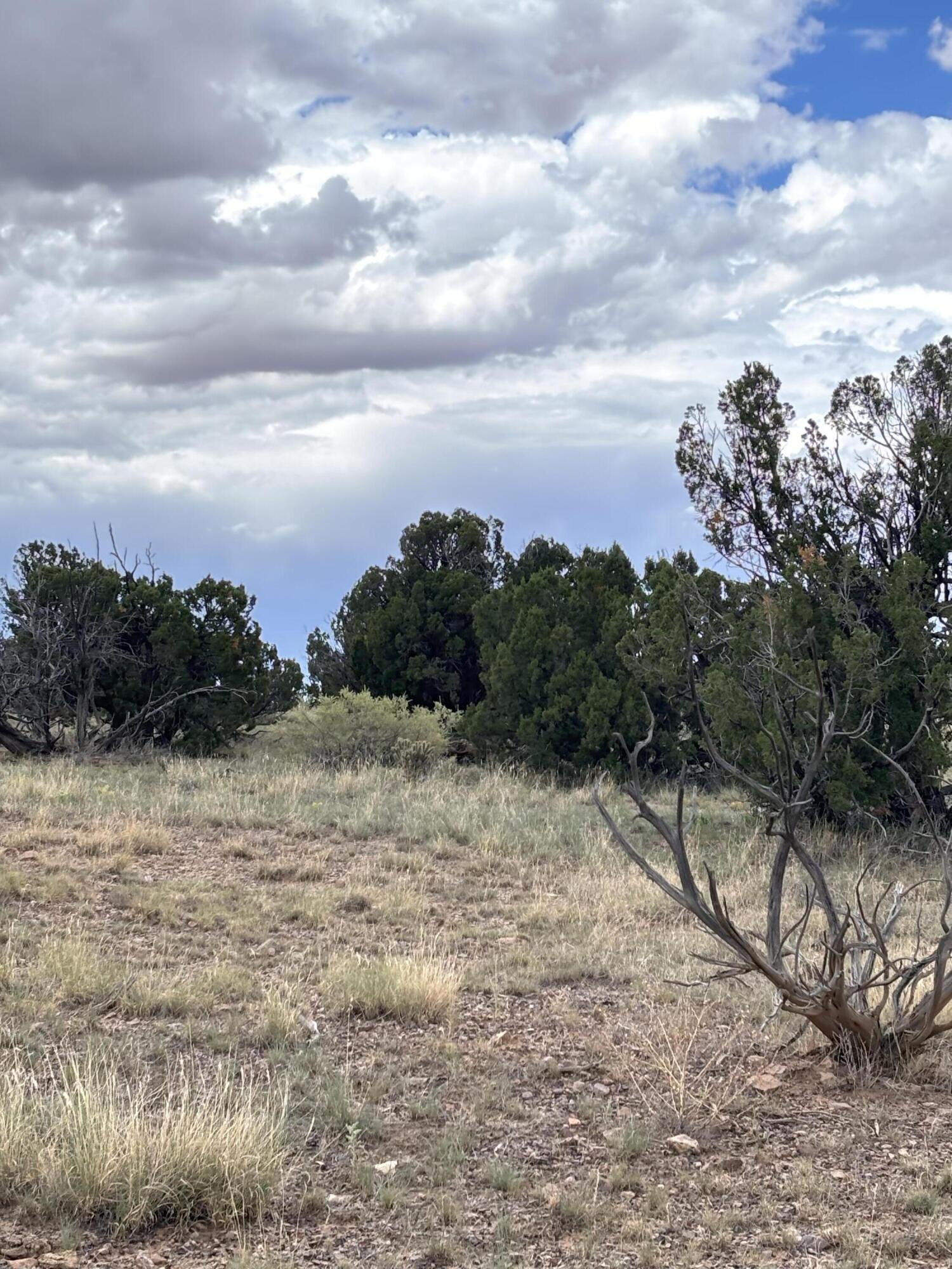Lot 95 Abbe Springs - Main Image
