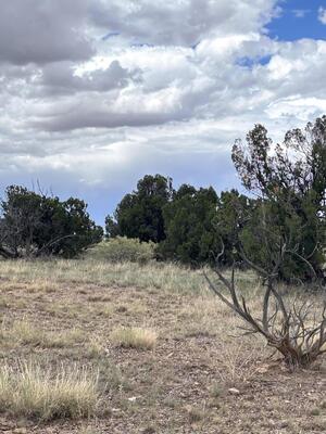Lot 95 Abbe Springs, Magdalena 