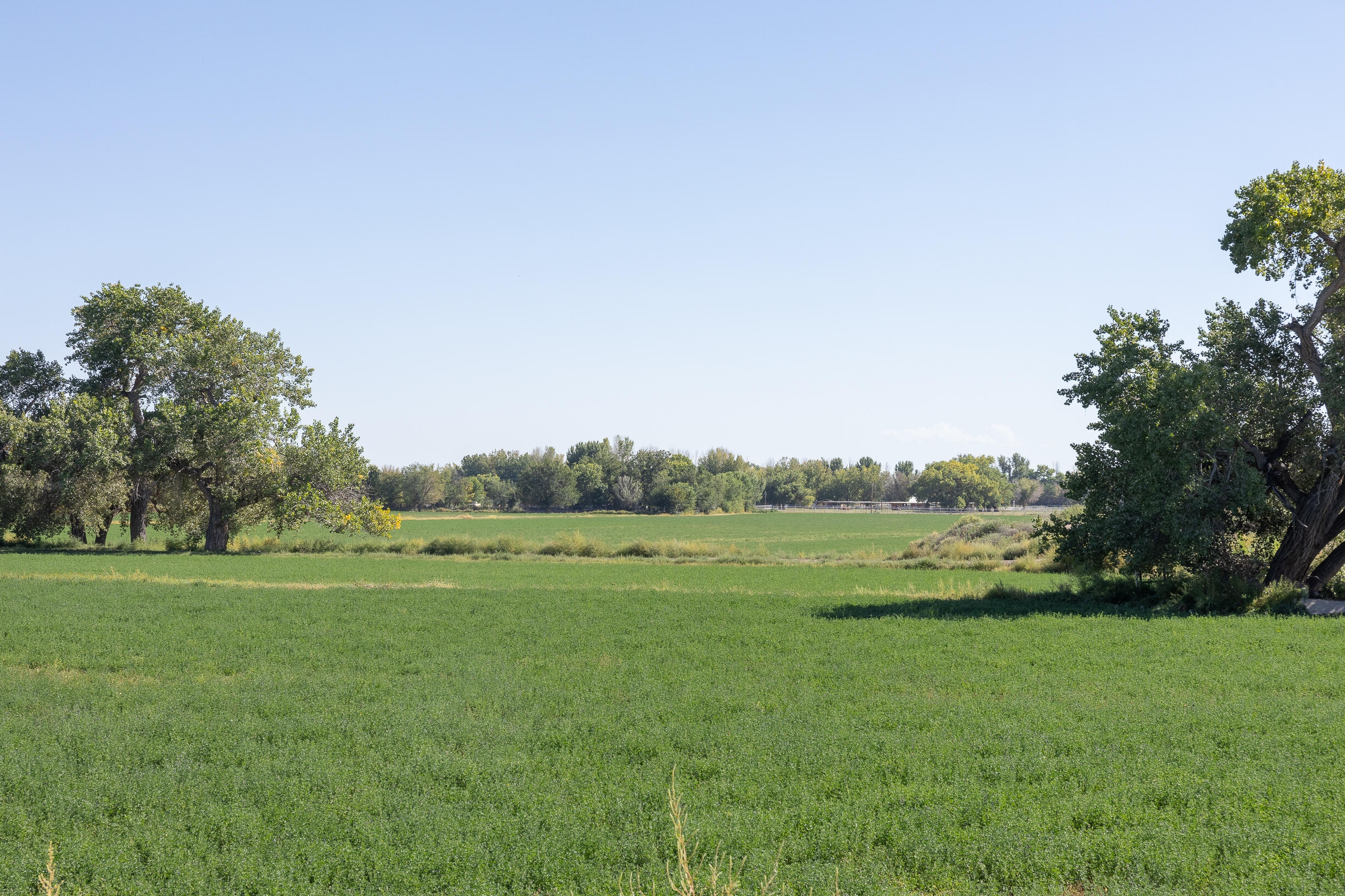 SAN ACACIA Road - Main Image