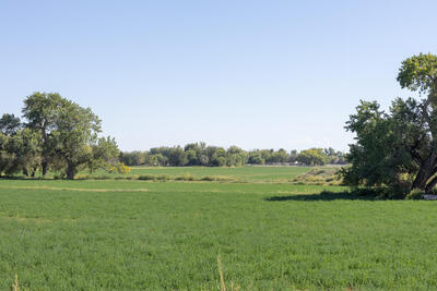 SAN ACACIA Road, San Acacia 