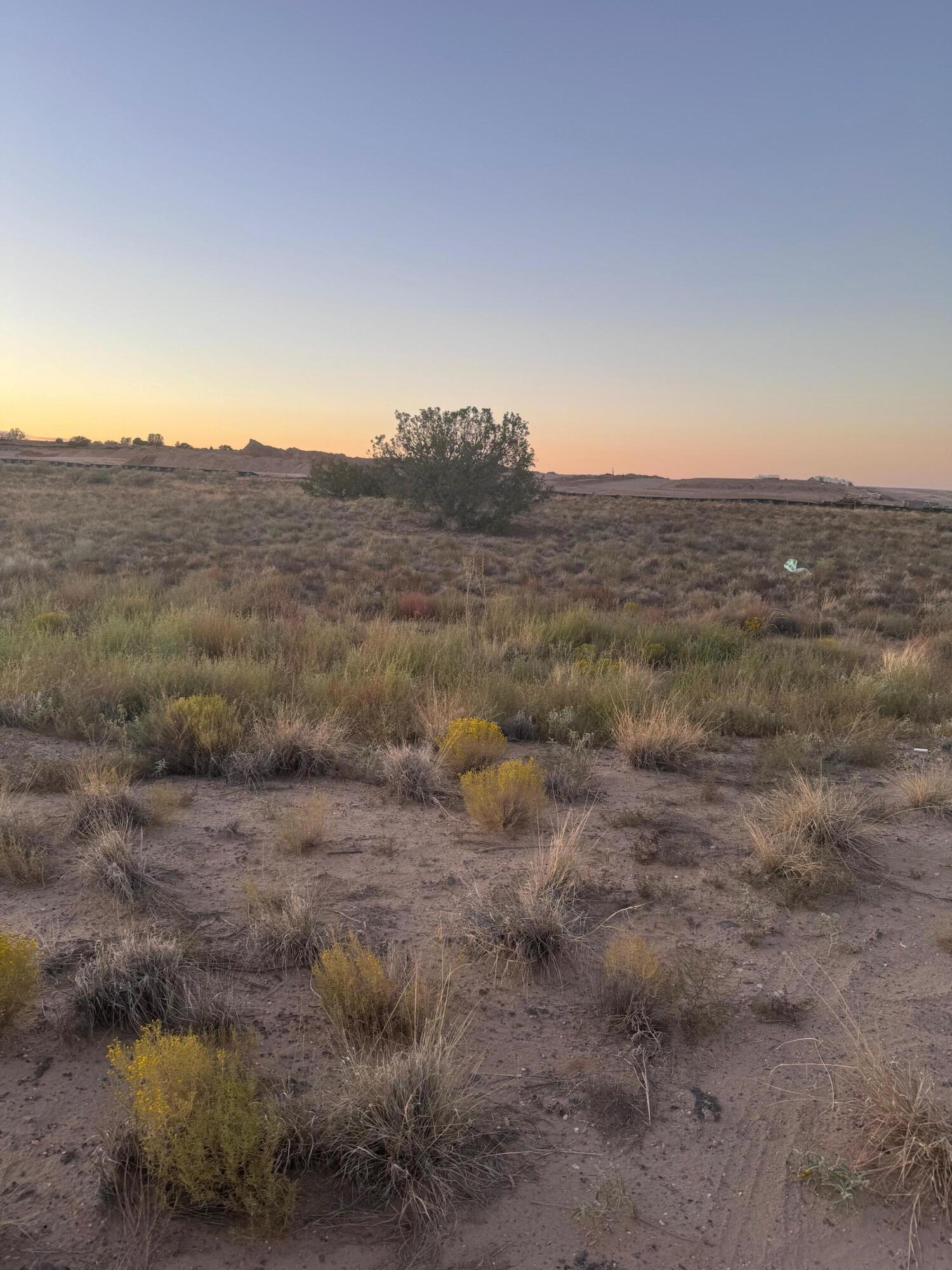 ROSA PARK (L3 - Main Image