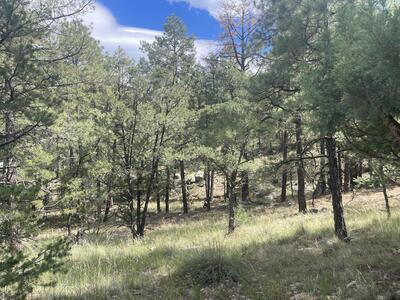 9.36 ACRES END OF HOP CANYON, Magdalena 