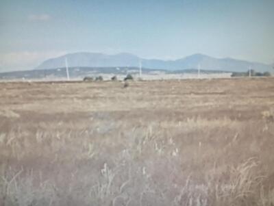 ANTELOPE SPRINGS, Estancia 