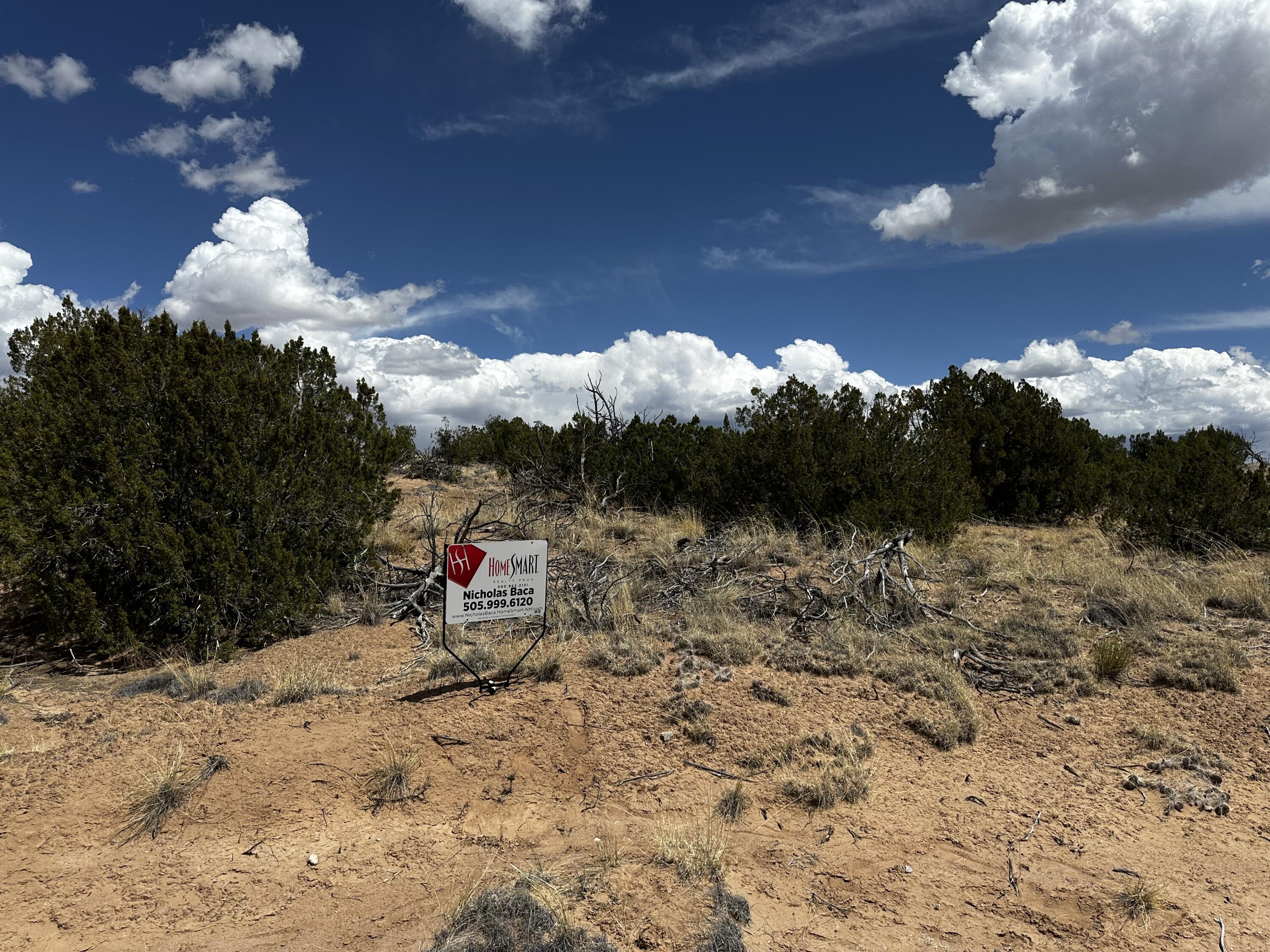 0 Wild Onion Road - Main Image