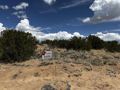 0 Wild Onion Road, Medanales 