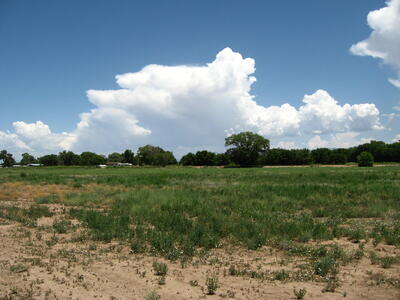Tract 77a & 77b1, Bosque 