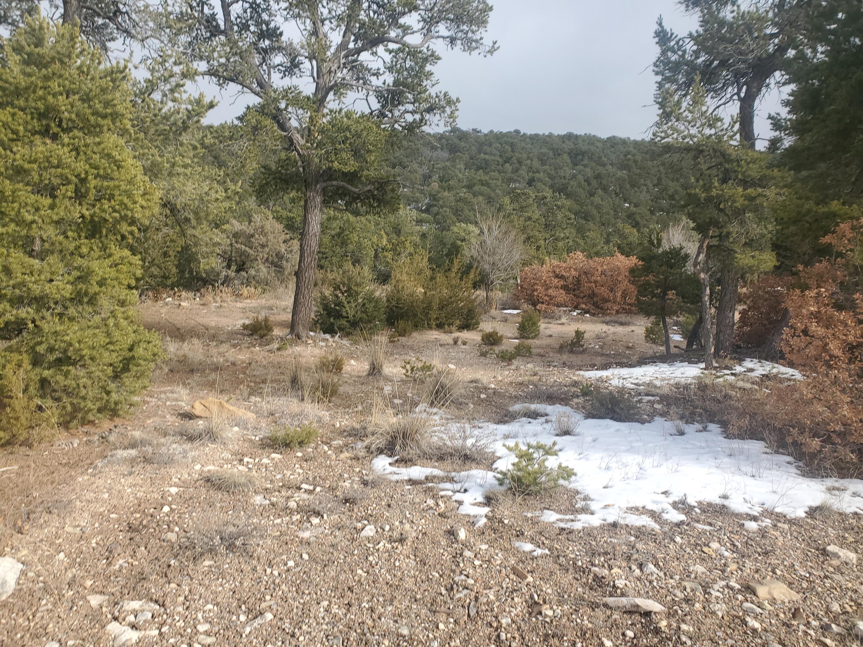8 Teypana Drive - Main Image