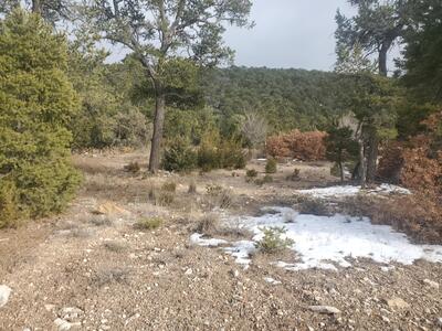 8 Teypana Drive, Tijeras 