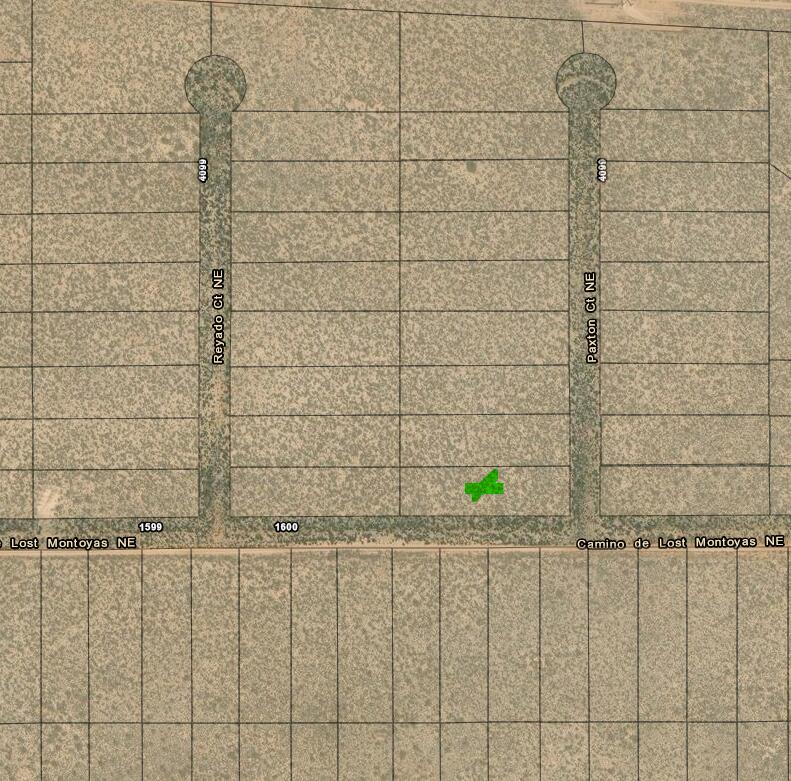 0 Camino De Lost Montoyas NW - Main Image