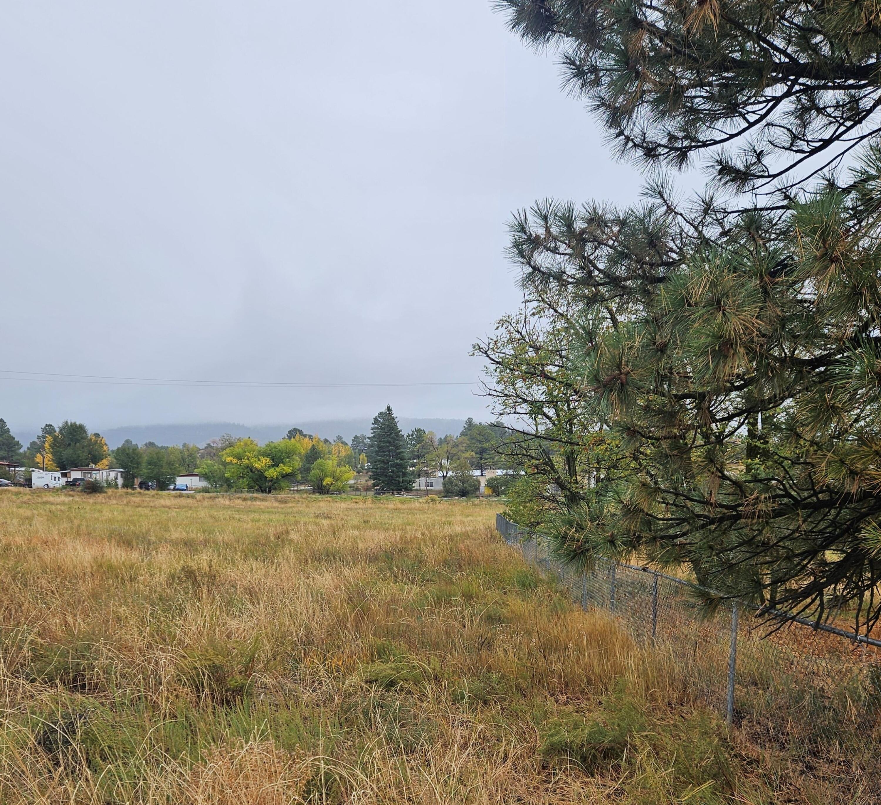 Rams Lot 49 Avenue - Main Image