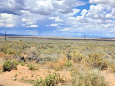 VL West of AT&T Road, Los Lunas 
