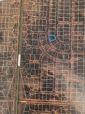 Rio Del Oro: Lot: 40 12, Los Lunas 