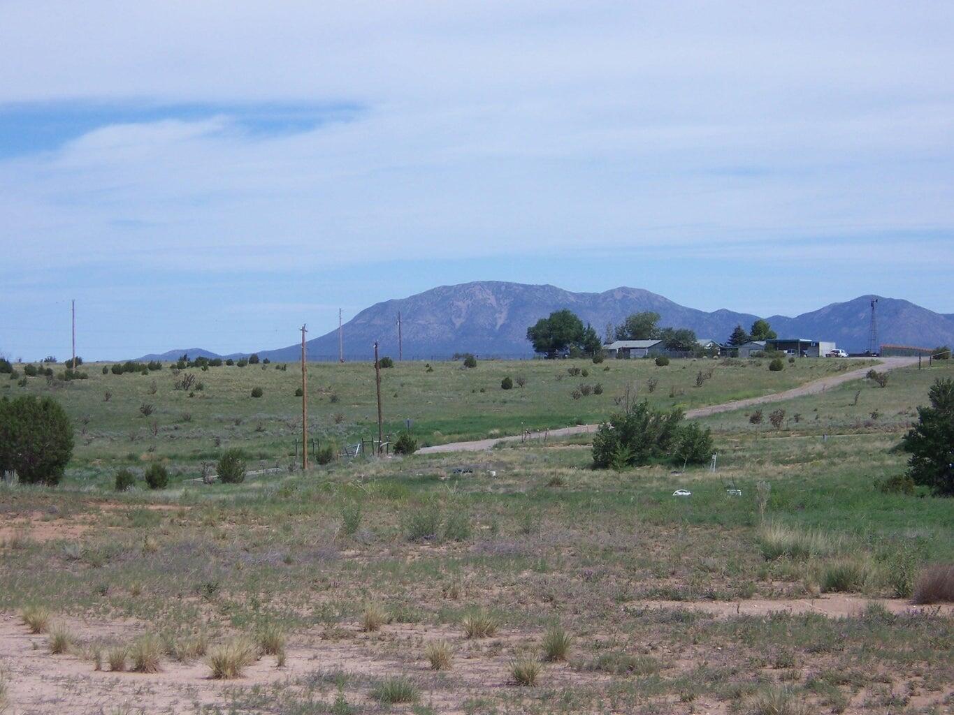 17 A Kennedy Road - Main Image