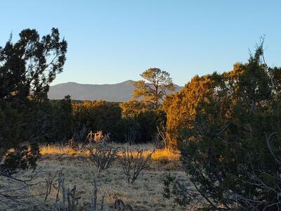 Road Runner Road, Mountainair 