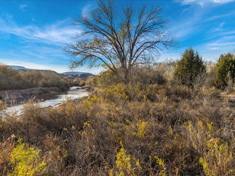 HWY 142 - Main Image